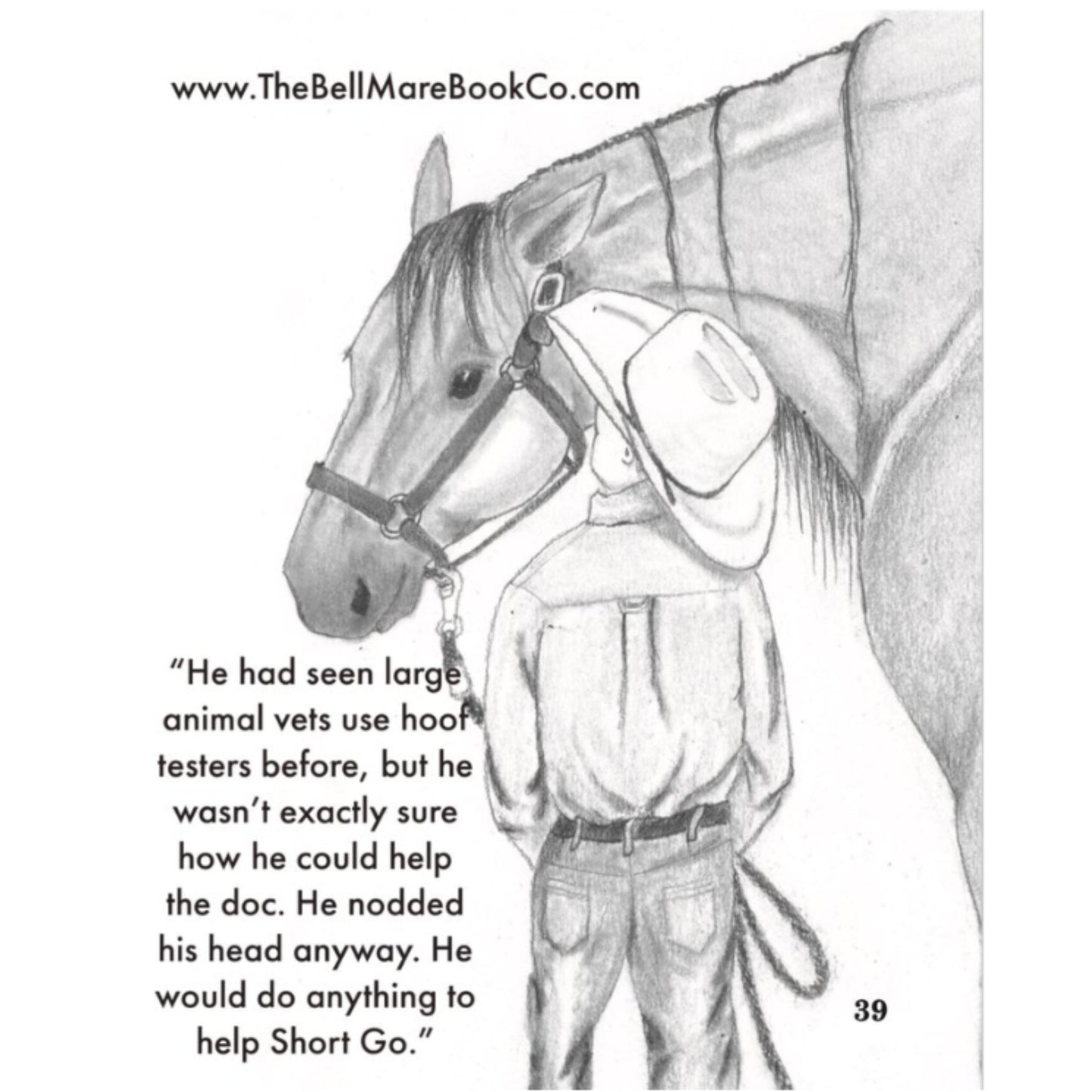 Chapter Book - Short Go and the Junior Rodeo Trail Paperback: By Lindsey Keller