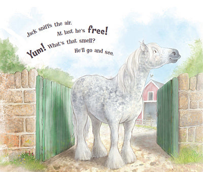A Horse Named Jack Board Book: By Linda Vander Heyden