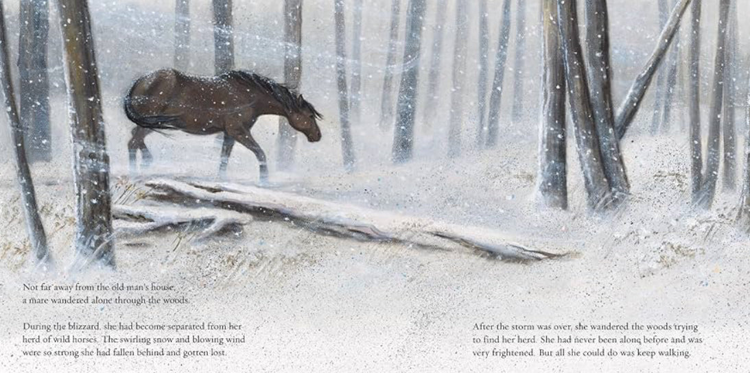 Hardcover: Winter’s Gift by Jane Monroe Donovan