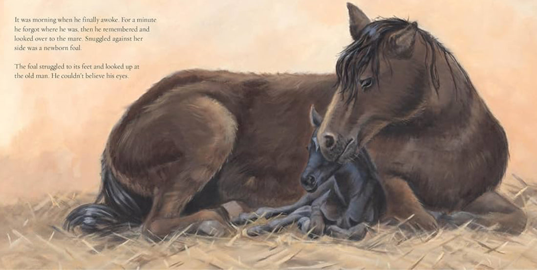 Hardcover: Winter’s Gift by Jane Monroe Donovan