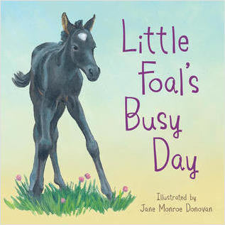 Little Foals Busy Day Board Book: By Jane Monroe Donovan