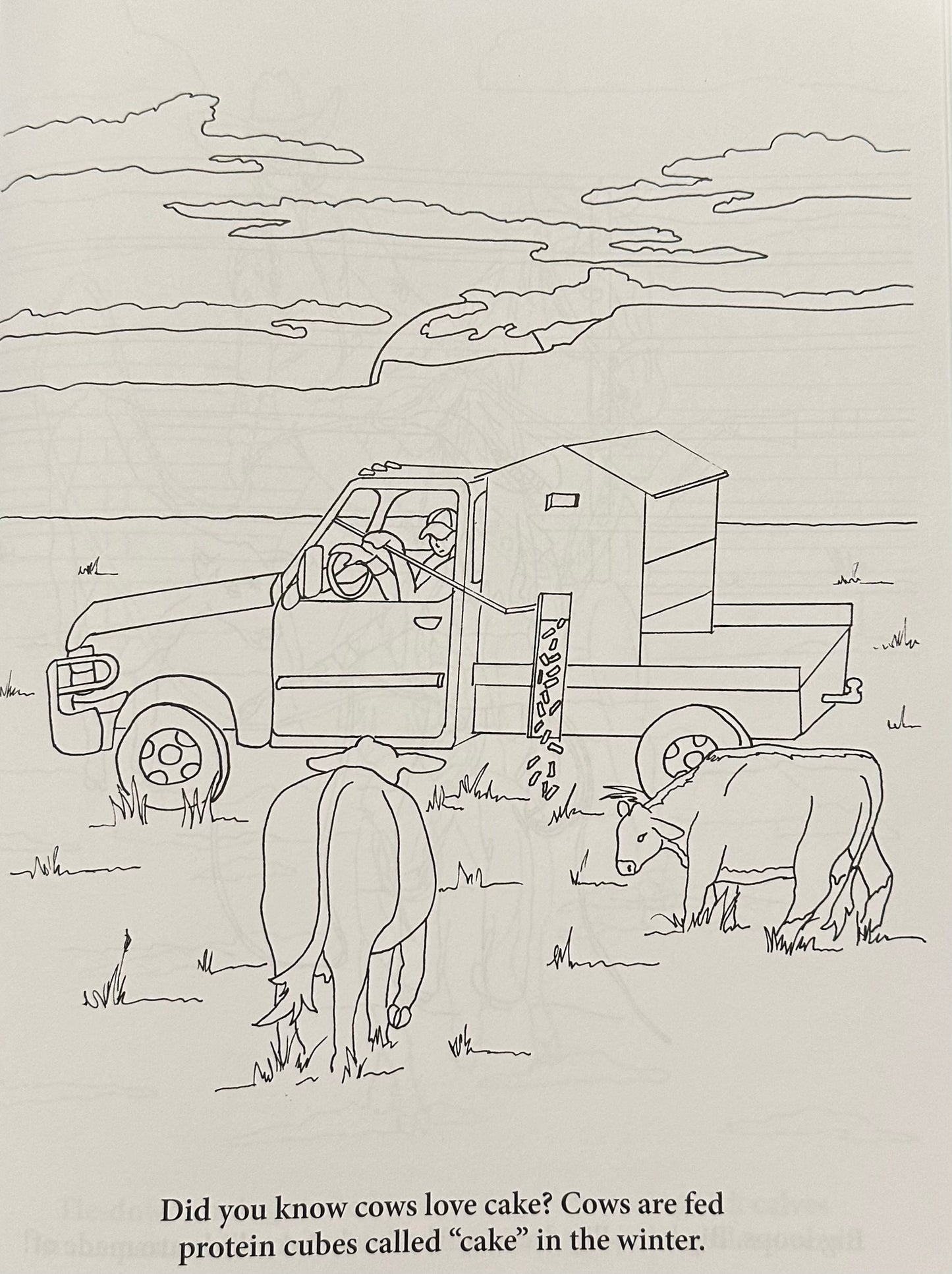 Ranchin' and Rodeoin' Coloring Book