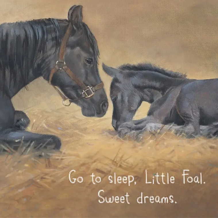Little Foals Busy Day Board Book: By Jane Monroe Donovan