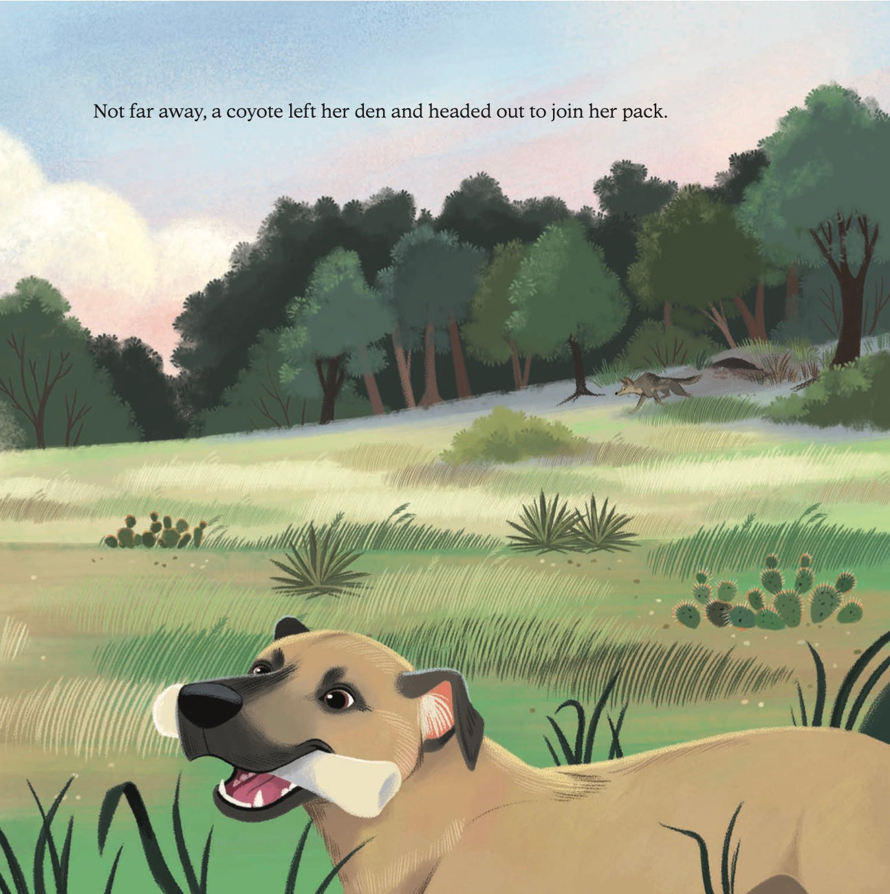 Hardcover: Rosie’s Ranch Rescue by Paige Murray